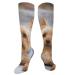 Portrait of a Miniature Yorkshire Terrier Yorkie Photo Compression Socks for Women & Men Circulation 15-20 mmHg is Best Support for Athletic Running Cycling