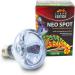 Terra Exotica Neo Spot - UV Radiation Terrarium Reflector | 25W 40W 60W 75W 100W & 150W Models - Ideal Heat & Light Source for Terrarium Dwellers - Buy Online on GoSupps.com