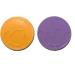 Pokemon 2023 Scarlet Violet - Poison & Burn Counters for Effective Battling - Buy Online on GoSupps.com