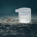 PATKAW Pet Water Feeder Ants Waterer for Garden Ants Feed Bowl Ants Drinking Container Ants Water Feeder Ants Waterer Cup Insect Water Bowl Clear Ants Feeder Mini Drinking Cup Acrylic - Buy Online on GoSupps.com