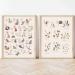 Alphabet Numbers Nursery Poster Print Animal Child Wall Art Nordic Canvas Painting Woodland Picture Kids Baby Room Home Decor 40x60cmx2 Unframed. - Buy Online on GoSupps.com