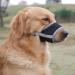 Adjustable Nylon Dog Muzzle for Small & Medium Dogs | Breathable Quick-Fit Design | Prevent Chewing & Barking - Black - Buy Online on GoSupps.com