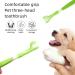 Kgduyc Pet Toothbrush - 2PC Triple Head Dog Toothbrush for Small to Large Dogs & Cats | Long Handle Pet Dental Care - Buy Online on GoSupps.com