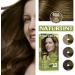 Naturtint 6GA Deep Almond Brown Hair Colour: Ammonia-Free, Grey Coverage, Plant Enriched - Buy Online on GoSupps.com