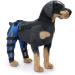 Jauarta Dog Hind Leg Brace Breathable Elastic Shockproof Dog Leg Protector for Pets and Dogs (L) - Buy Online on GoSupps.com