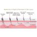 Derma roller hair growth men and women | 540 Titanium Needles microneedling hair and beard growth derma roller 0.5mm | scalp roller for hair 0.5mm derma roller include Storage Case (Needle size 0.5mm) - Buy Online on GoSupps.com