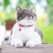 Buy Tagme 2 Pack Katzenollsband - Personalized Cat Collars with Safety Clasp & Bell Hot Pink Standard Size 18-31cm - International Shipping Available - Buy Online on GoSupps.com