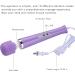 AEVEONE Wired Handheld Electric Massager - Strong Vibrations for Sports Recovery & Muscle Pain Relief (Light Purple) - Buy Online on GoSupps.com
