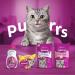 Whiskas Kitten Milky Treats 8 x 55 g Packets Tasty Milky Treats for Kittens aged 2 to 12 Months small bite size Snacks with a delicious milky Filling Milky (Kitten) 55 g (Pack of 8) - Buy Online on GoSupps.com