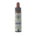 Heather n 14 Fleur de Bach farmaflor 1 Flacon Comtpe Gouttes 10ml - Made in Italy