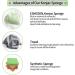 ESMOSEN 2pc Natural Green Tea Konjac Facial Sponges for Deep Cleansing and Exfoliating | Gentle & Safe for Delicate Skin - Buy Online on GoSupps.com