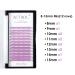 Colored Easy Fan Eyelash Extensions 8-15mm Purple D Curl 0.07mm - Buy Online on GoSupps.com