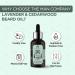 Buy The Man Company Lavendel Beard Growth Oil 30ml | Strengthens Uneven Stained Beards | Anti-Inflammatory Benefits with Onion Black Cumin & Cedar Wood - Buy Online on GoSupps.com