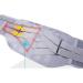 Self-Warming Waist Belt for Abdominal Support & Lower Back Pain Relief - Portable Heating Pillow - Gray XL - Buy Online on GoSupps.com