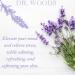 Buy Dr. Woods Soothing Lavender Castile Soap 32 oz - Natural & Eco-Friendly International Shipping - Buy Online on GoSupps.com