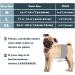 Hisprout Male Dog Diapers - Reusable Washable Durable and Absorbent Cloth Pants for Puppies | L Gentleman Grid - Buy Online on GoSupps.com