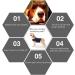 Anti-Fear Dog Jacket | Sedative Shirt for Pet Stress Relief - Warm Calm Wrap | Light Gray L - Buy Online on GoSupps.com