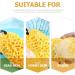 Beavorty 3pcs Honeycomb Bath Ball Sponges - Natural Exfoliating Loofah for Skin Cleansing & Shower | International Shipping Available - Buy Online on GoSupps.com