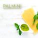 PALMINI Hearts of Palm Lasagna Sheets - 8 OZ | Low Carb Pasta Alternative - Buy Online on GoSupps.com