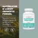 Buy Bandini L-Glutathione 250mg Capsules | Antioxidant & Immune Support | Vegan High Dose Laboratory Tested | 60 Capsules - Buy Online on GoSupps.com