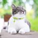 TagME 2 Pack Personalized Reflective Cat Collars with Bell - Green - Buy Online on GoSupps.com