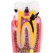 Comprehensive Caries Studies & Oral Hygiene Resources for Dentists - Preventive Care Education - Buy Online on GoSupps.com