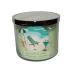 Bath & Body Works White Barn 3-Wick Candle w/Essential Oils - 14.5 oz - 2021 Summer Scents! (Kiwi Starfruit Cooler)