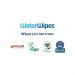WaterWipes Baby Wet Wipes for Sensitive Skin - 99.9% Purified Water Fragrance-Free 4 Pack (240 Wipes) - Ideal for Newborns and Infants - Buy Online on GoSupps.com