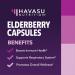 HAVASU NUTRITION Elderberry Capsules with Sambucus Nigra | Immune Support & Defense with Antioxidants - Buy Online on GoSupps.com