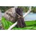 Vanille Bourbon de Madagascar - 20 Gousses - Grandes Taille 16cm - Avec Sachet Fraicheur refermable pour une conservervation optimale apres ouverture - Buy Online on GoSupps.com
