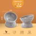 Ceramic Tilted Elevated Cat Bowls Set - Stress-Free Feeder for Cats and Small Dogs - Dishwasher & Microwave Safe - White+Grey (Set of 2) - Buy Online on GoSupps.com