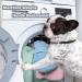 Petsmiler Dog Bathrobe - Absorbent Velcro Bathing Robe for Large Dogs | Ideal After Swimming or Rain (Green) - Buy Online on GoSupps.com