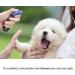 Dogs Clicker 4 Pcs Multi-Color Diyife Clickers for Dog Training with Wrist Strap Clicker Training for Dog Puppy Cat 4 pack Red & Yellow & Blue & Black - Buy Online on GoSupps.com