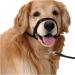 Universal Selected Harness Adjustable Muzzle Dog Halter Leader Belt Dog Collar Head Collar No Pull Bite Straps Training Leash Leader (Color : Purple Size : XL) - Buy Online on GoSupps.com