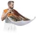 Cute Squirrel Mushroom Beard Bib Apron Beard Bib Hair Catcher for Men Shaving and Trimming Non-Stick Waterproof Beard Cape Grooming Cloth with 2 Suction Cups Gifts for Men