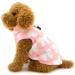 Smalllee Lucky Store Waterproof Dog Jacket - Cozy Winter Coat for Small Dogs & Cats (Chihuahua Shih Tzu) - Pink Loop Design - Buy Online on GoSupps.com