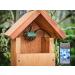 Green Feathers HD WiFi Bird Box Camera 3rd Gen (1080p Wi-Fi Camera & 10m Power Cable) 1 Count (Pack of 1) - Buy Online on GoSupps.com