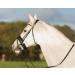 QHP Madelon Pad Noseband - Black Warmblood Size WB | Premium Equestrian Gear | International Shipping Available - Buy Online on GoSupps.com
