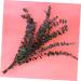 Zerodeko 10pcs Flower Plants Wedding Bouquets Eucalyptus Branches Naturales Faux Eucalyptuses Faux Eucalyptus Leaves Eucalyptus Tree Leaves Fake Eucalyptus Christmas Decorations - Buy Online on GoSupps.com