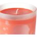 Buy Apotheke Tomato Tarragon Candle - 11 OZ | Premium Scented Candle for Home & Gifts | International Shipping Available - Buy Online on GoSupps.com
