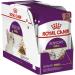 Royal Canin Sensory Smell in Gravy Wet Cat Food (12 x 85g)