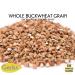 GERBS Buckwheat Grain Groats 4 LBS - Premium Grade, Top 14 Allergen-Free, Non-GMO | Iron, Fiber & Protein-Rich | Gluten, Peanut & Tree Nut Free | Resealable Bulk Bag - Buy Online on GoSupps.com