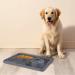 Shop Aodaliy XL Silicone Slip Mat for Dogs & Cats | BPA-Free Leak Mat for Grooming - Ideal for Showers & Brushing - Buy Online on GoSupps.com