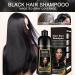 Natural Black Hair Coloring Shampoo 3-IN-1 Hair Coloring Shampoo Nourishing and Dyeing Brown Hair for Men and Women in 10-15 Mins(Natural Black) - Buy Online on GoSupps.com