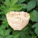 FLAMEER 6pcs Bamboo Wicker Woven Canary Nest Pans Small Bird Nest Boxes Cage Hanging - Buy Online on GoSupps.com