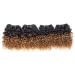 Kinky Curly Brazilian Virgin Human Hair Bundles - Ombre Short Curly Hair Extensions - 8 Inch (Pack of 4) 1B/30 - Buy Online on GoSupps.com