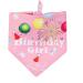 Kaket Dog Birthday Bandana - Cute Plaid Doggy Bandana for Birthday Parties (Pink) - Buy Online on GoSupps.com