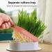 3pcs Cat Grass Planter Soilless Culture Cat Grass Planting Container Catnip Cat Grass Box Cat Grass Growing Kit Cat Grass Sprouting Trays for Indoor(size:3pcs) - Buy Online on GoSupps.com