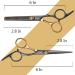 Professional Hairdresser Shears & Cutting Scissors Set - 10 Pcs Golden & Black Effilier Scissors for Haircuts Dogs & Kids | fcysy - Buy Online on GoSupps.com