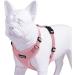 Voyager Step-In Lock Pet Harness XS (Chest 11-16) Pink - All Weather Mesh, Adjustable Harness for Cats and Dogs - Best Pet Supplies - Buy Online on GoSupps.com